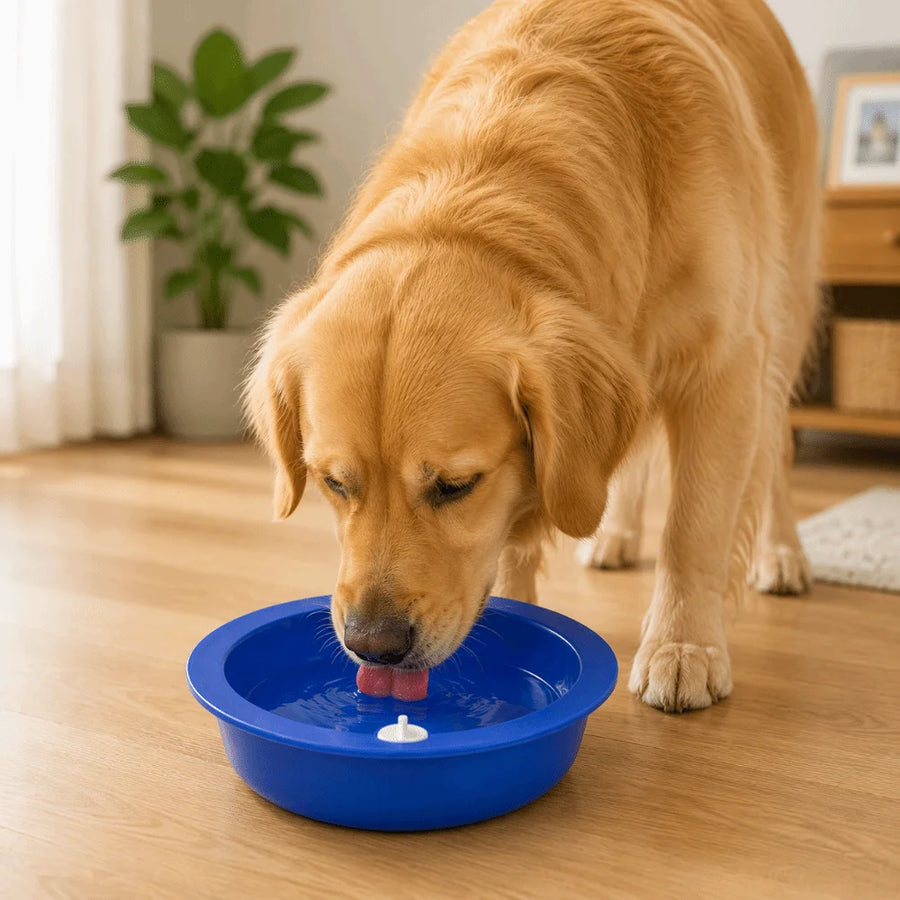 Cooling Water Feeder Bowl for Dogs & Cats
