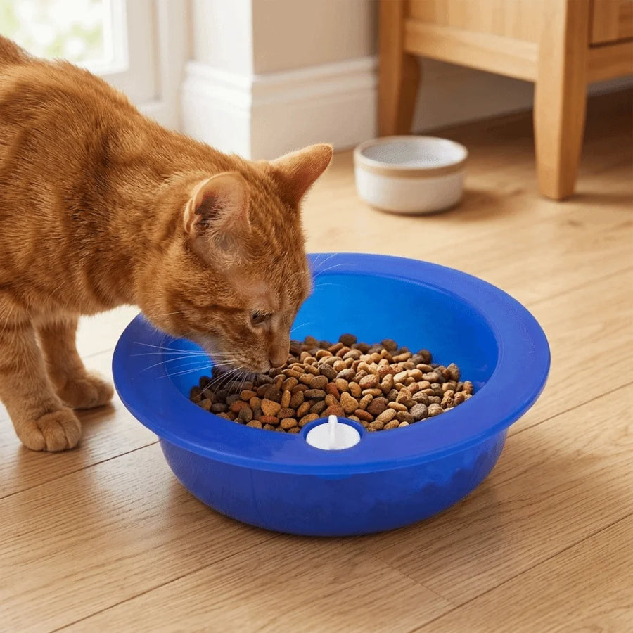 Cooling Water Feeder Bowl for Dogs & Cats