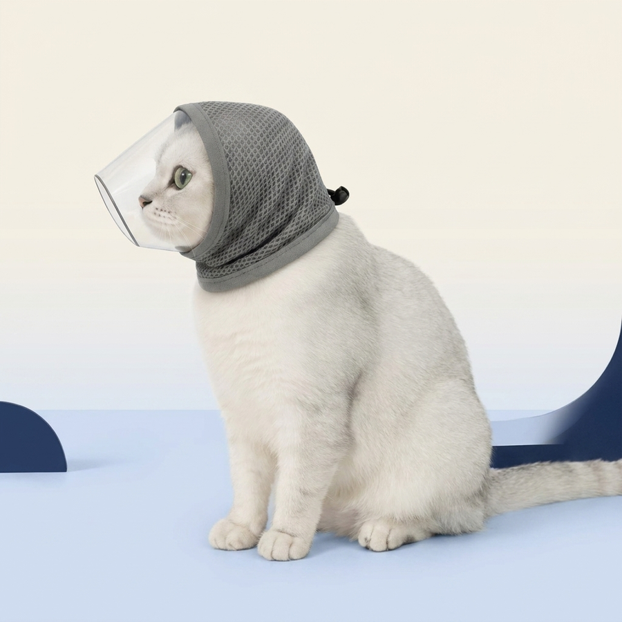 Cat wearing the anti-bite grooming mask — calm studio photo